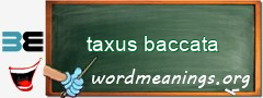 WordMeaning blackboard for taxus baccata